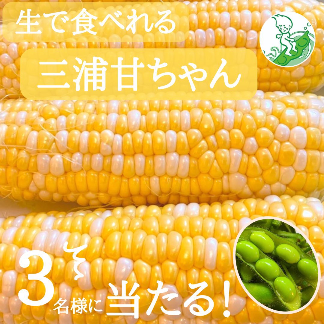 iwasakifarm's tweet photo. ＼#夏の名物野菜コンビ／

生で食べれるフルーツコーン🌽
��浦甘ちゃん＆はねっ娘枝豆のセットを 
 3名様にプレゼント致します🎁

◎応募方法
1️⃣ @iwasakifarm をフォロー
2️⃣このツイートを RT

◎6月29日23:59締切 https://t.co/MnV3yap2yM