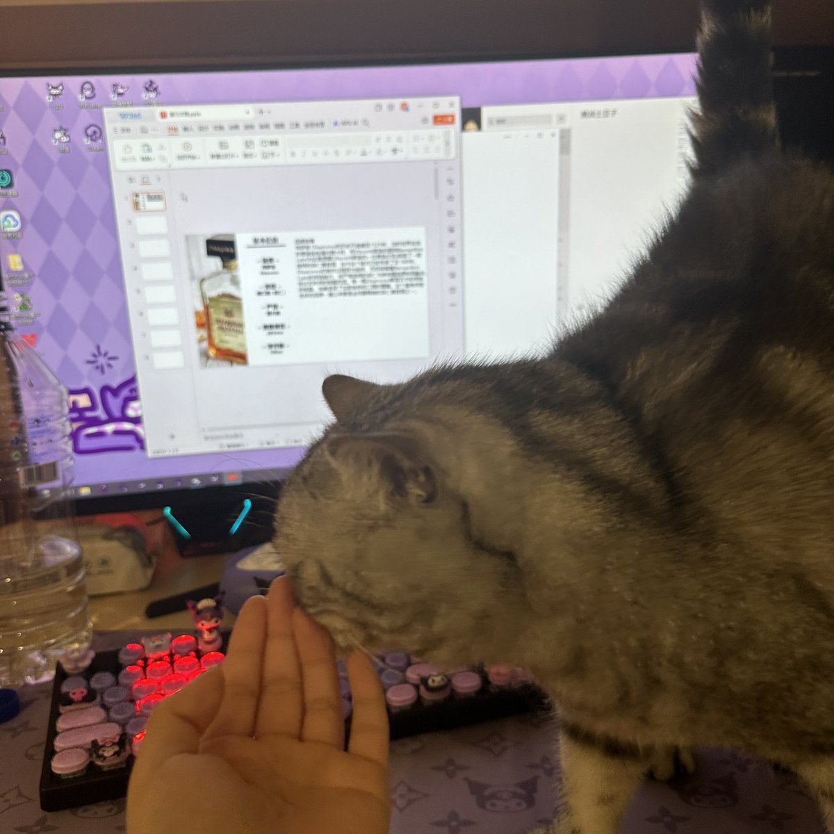 当你真的有事做的时候
小猫就寂寞了 https://t.co/y7nJf7dQcx