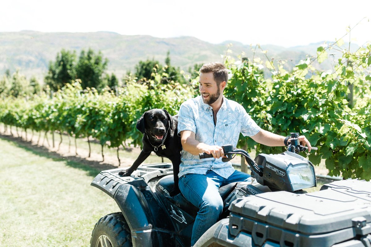 It's take your dog to work day! 🐕 <a href="/Privatowine/">Privato Winery</a>'s family pup Jenny is always happy to lend a helping paw around the vineyards. All of our wineries are dog-friendly, so you can bring along the whole family for wine tastings!

📸 Mary Putnam &amp; <a href="/BCWine/">Wines of British Columbia (BC VQA)</a> | #KamloopsWineTrail #BCWine
