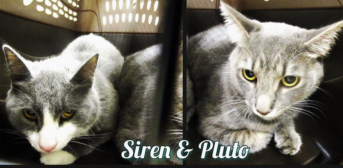 Renee' Martin tweet media