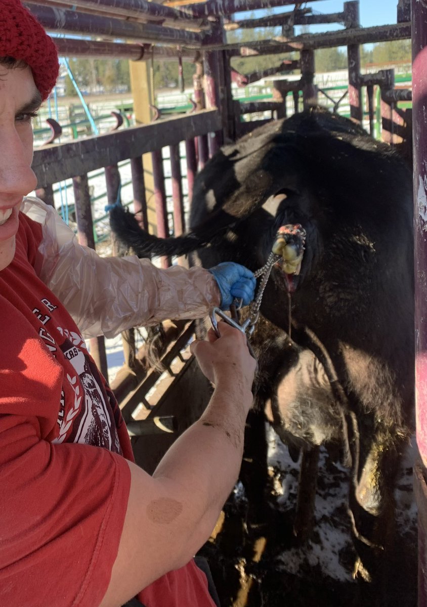 Jordan Dutton tweet media