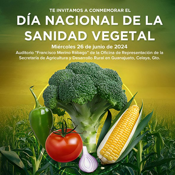 campogobgente's tweet photo. Te invitamos a conmemorar el Día Nacional de la Sanidad Vegetal, este miércoles 26 de junio a partir de las 9:30 en las instalaciones de la #SDAyR. https://t.co/Qm6QIXDW6f