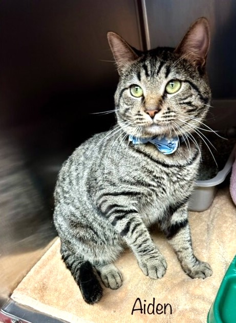 Renee' Martin tweet media