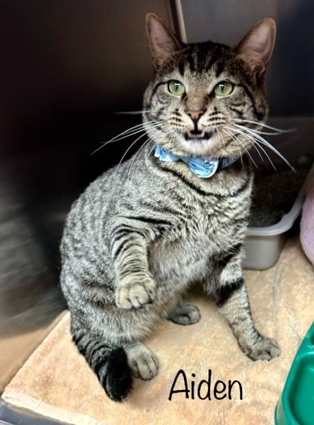 Renee' Martin tweet media