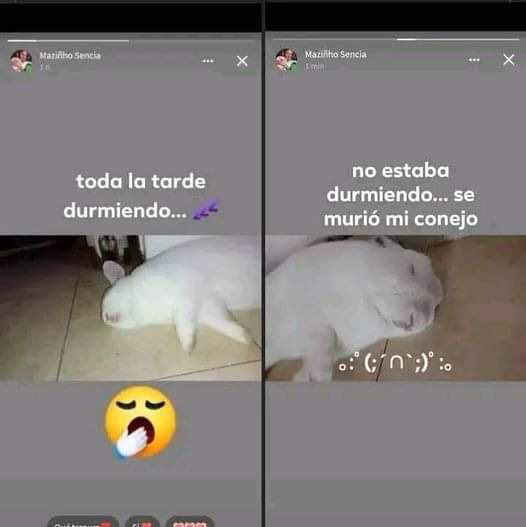 bjs_alejo2's tweet photo. https://t.co/jomEyU5Bba