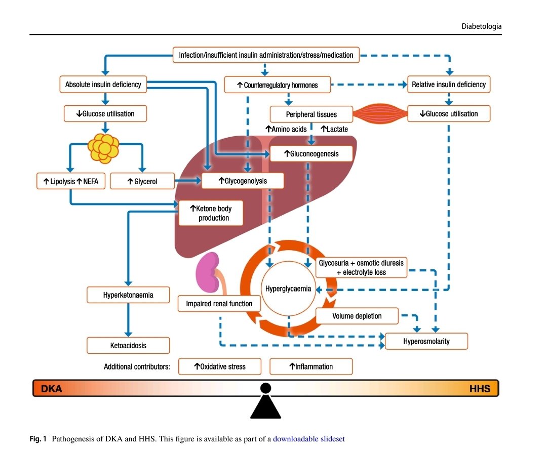 Santiago Oquendo MD tweet media