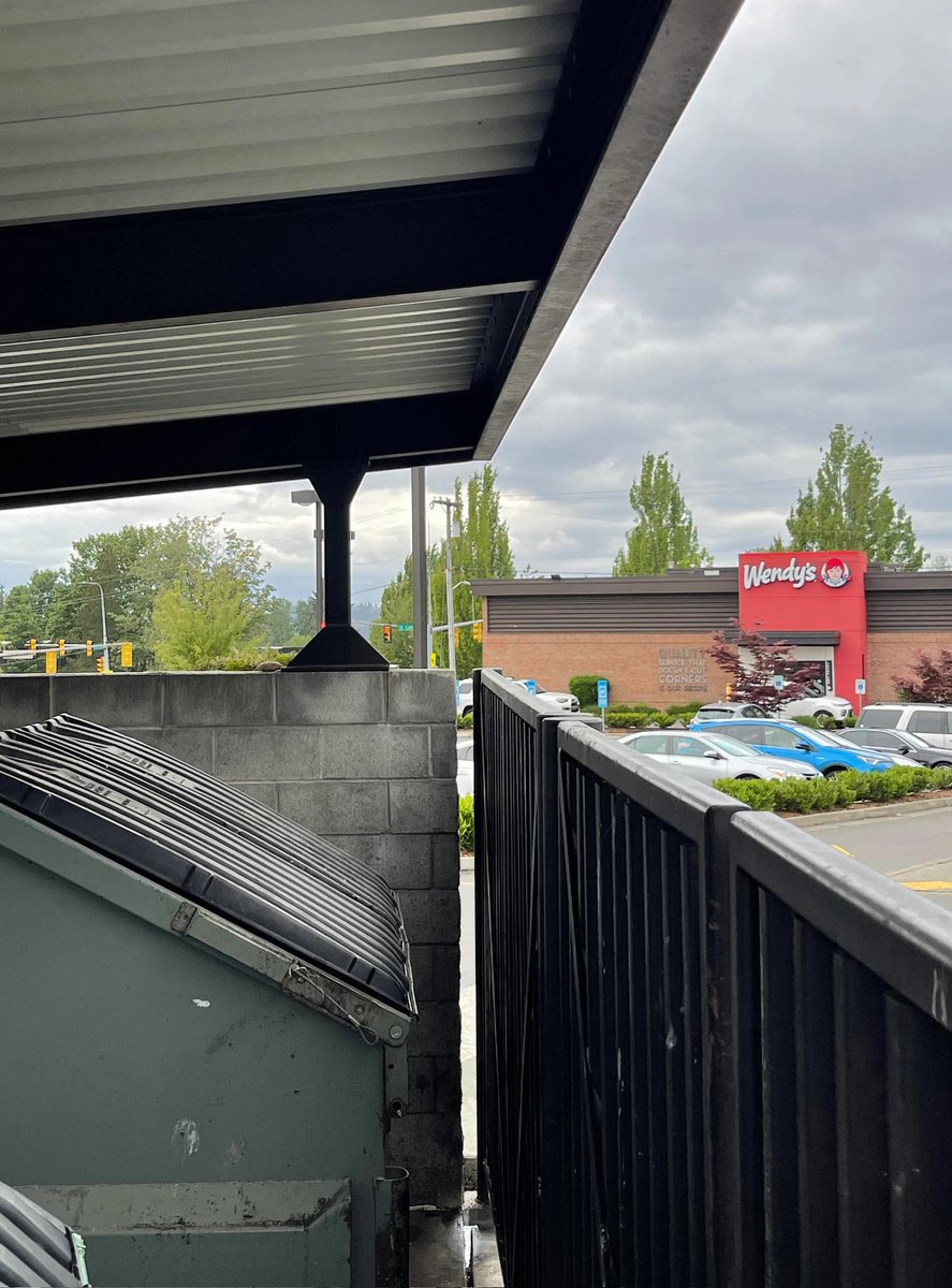 Wendysdumpsterkids.eth tweet media