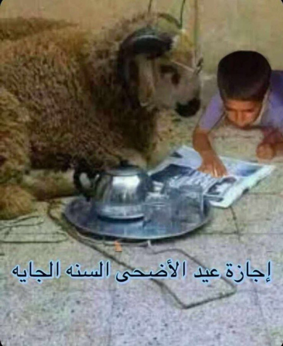 فواز الحربي 🇸🇦💚 tweet media