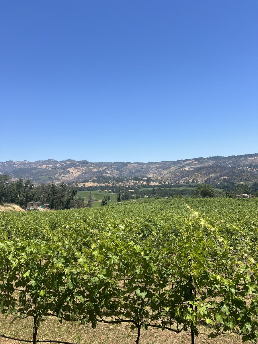 Slinging wine in my off time