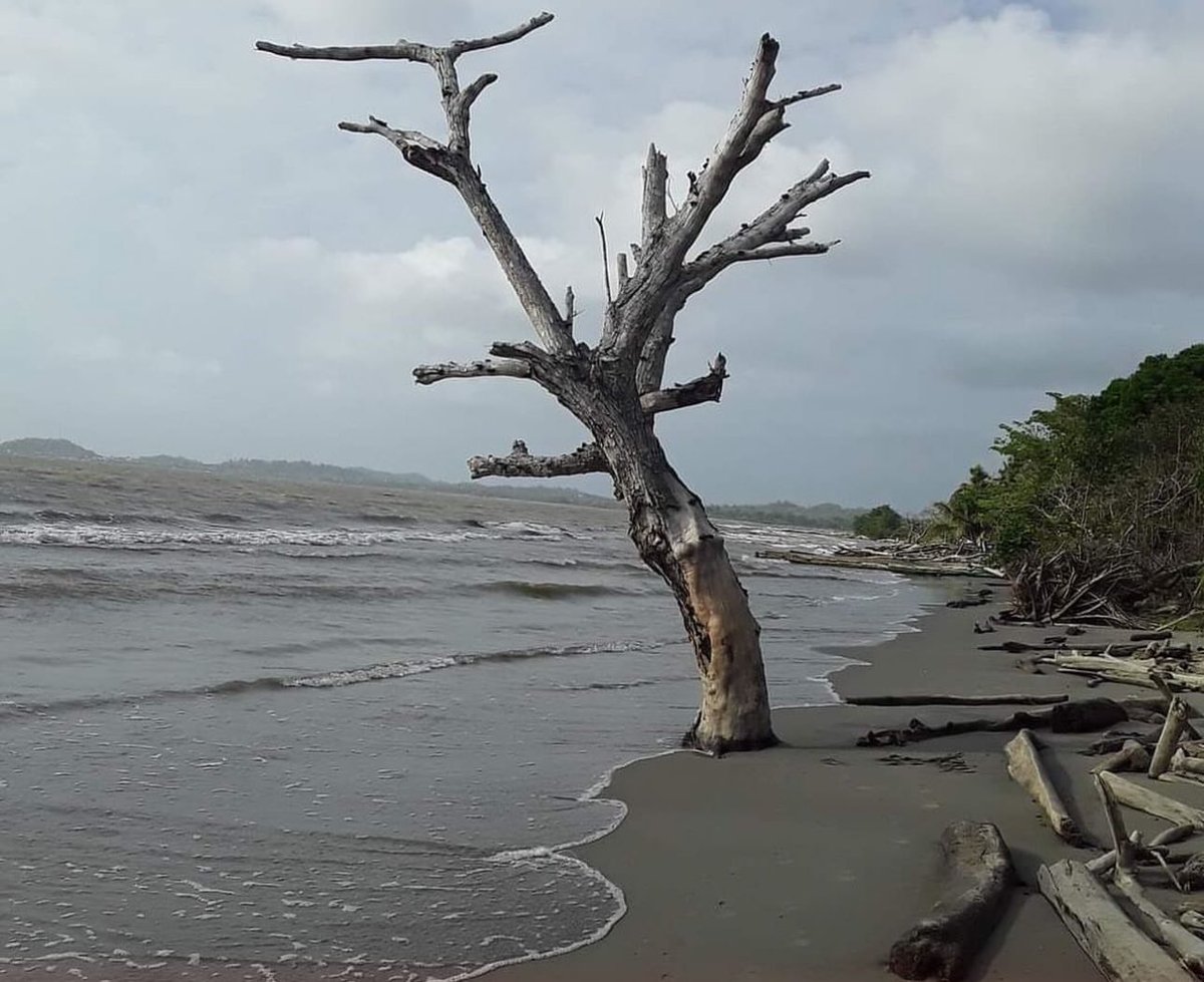 AAbuchar's tweet photo. Imposible para las costa de Antioquia desarrollar turismo de calidad si no se atiende la erosión costera @GobAntioquia @UNGRD @petrogustavo la mejor forma de generar empleos es invertir en las economías emergentes como el turismo,uraba está esperando una mano amiga @fonturcol @MinInterior @infopresidencia