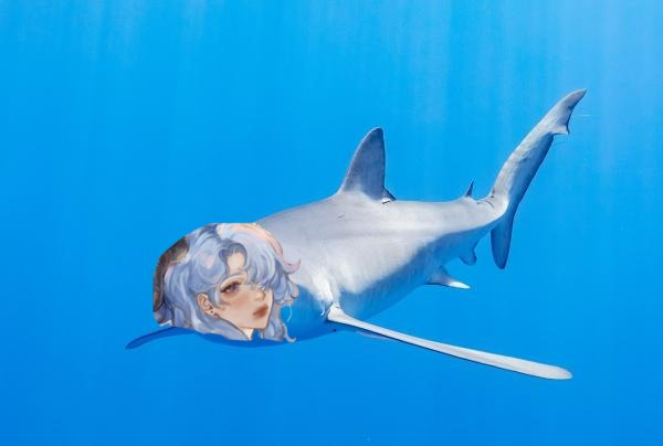 bloominze's tweet image. Listo amiha.