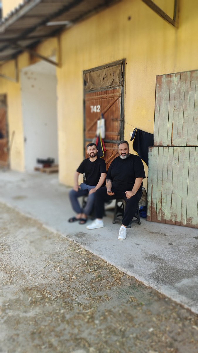 halit_hatunoglu's tweet photo. #kingdavut
#wolfseyfo https://t.co/hOhL1xL89e