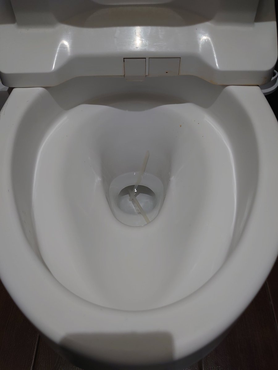 ずいぶん細くて白くて硬いなぁ…
こんなん出すとは、体調大丈夫なんだろうか？
他のお客様の迷惑になったり、詰まったりする前で本当良かった。
こんなコトする人もいれば、教えてくれる人もいる。
教えてくれる方が万倍ありがたい。
コレは流れないけど、嫌な気持ちは流せる！水に流して頑張ろ！