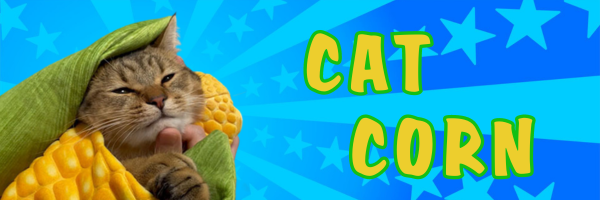 CatCornCoin's tweet photo. @ABDULSAIF_ $MINIRA Cat Corn

https://t.co/3PAkU5GFSk

https://t.co/47kcWBKyuX https://t.co/z7tEQjOzzc
