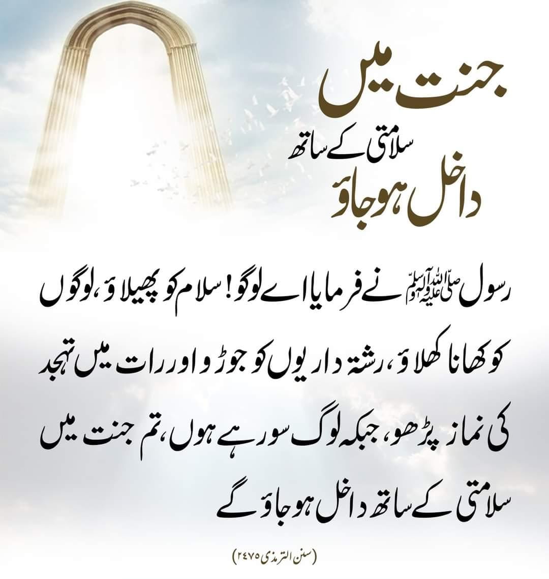 S_for_soham's tweet photo. Assalam o alikum good morning to all X faimly 😍😻🤩 
#INDvsBAN #IntegracionSwiftie22 #NEETPG #AileeinKL #NEDFRA #AtinAngWestPhilippineSea #NEETPG #NuestraCopa https://t.co/3DwTVgBK3P