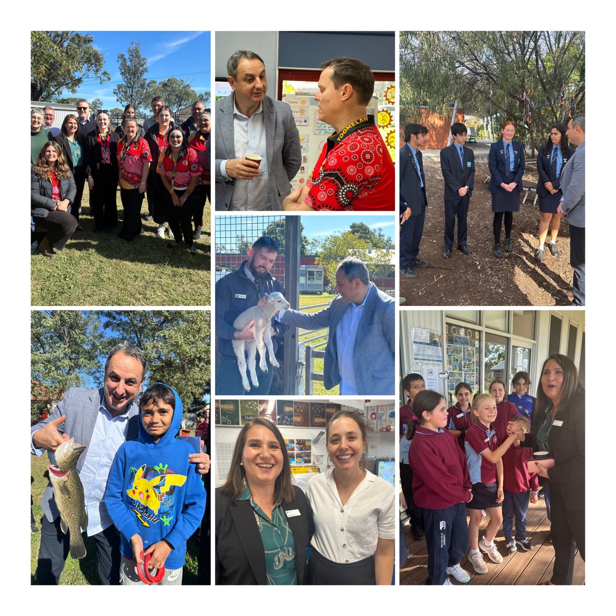 Mark Diamond tweet media