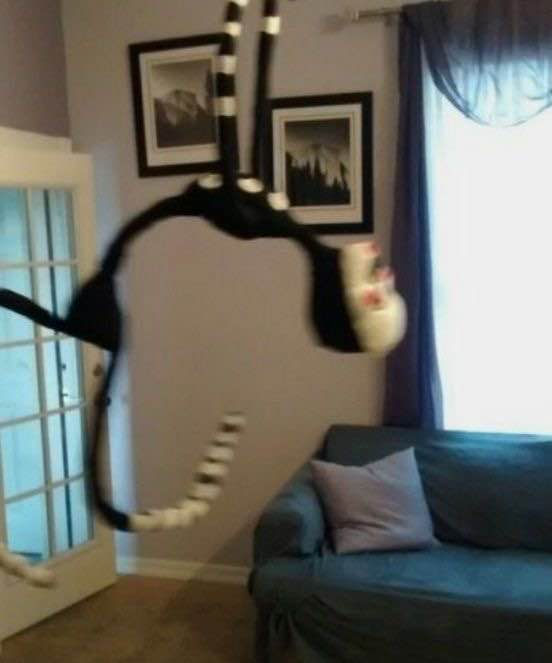 TJ. - THE BOYS S5 SPOILERS tweet media