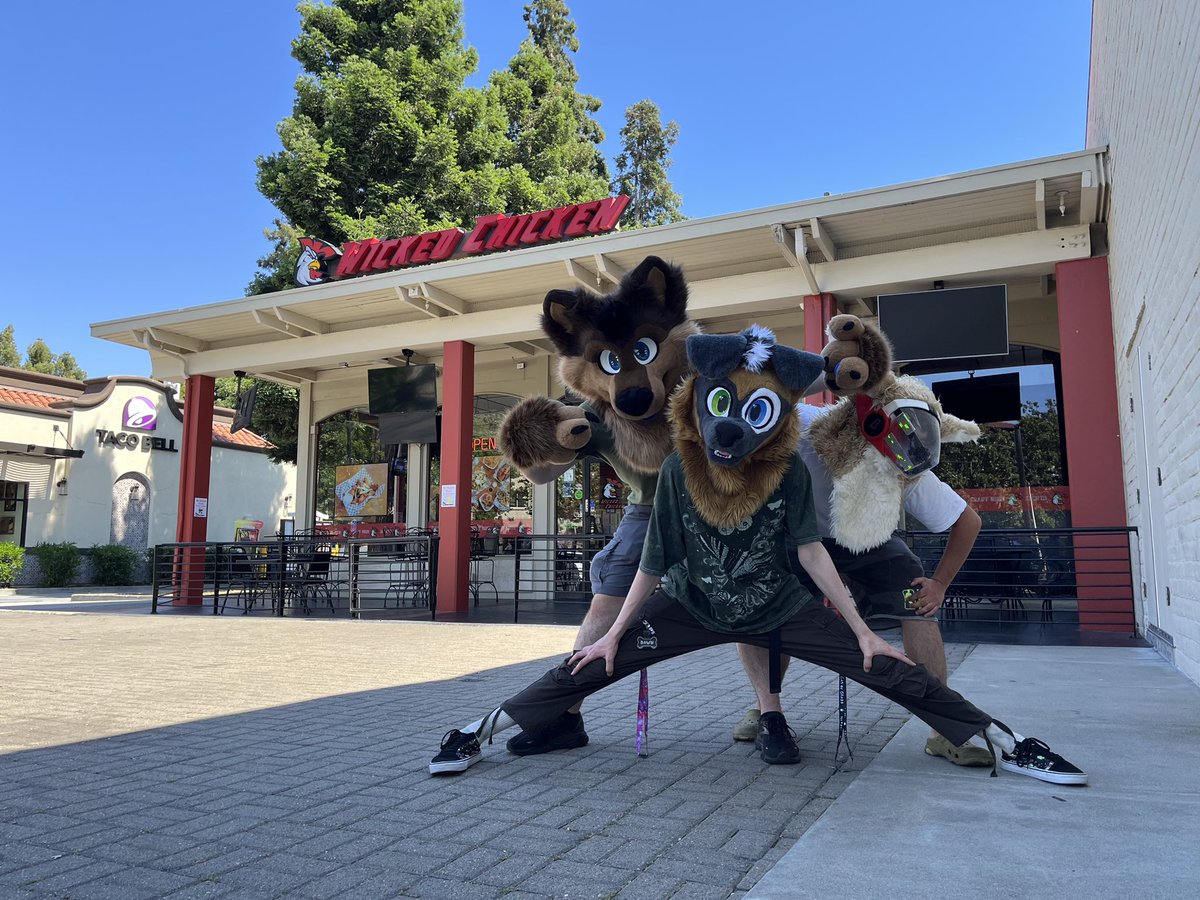Dsk_to_Dawn's tweet photo. Where everyone at π€¨ #chicken #furry #fursuit #yougay https://t.co/SvlcR1aK8v