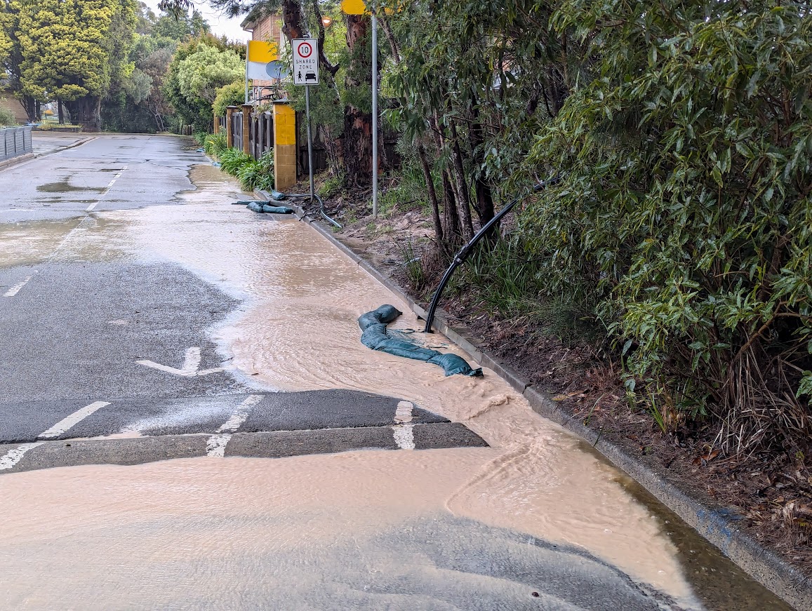 wildaboutsydney's tweet photo. SO WHAT IS THE EPA GOOD FOR ?
Mud has now been pouring from the new Forest High school build into the fragile Manly Dam Catchment since January..
https://t.co/ERmk4NhXod
#manlydam #climbinggalaxias @GuardianAus @NSWEducation @NSW_EPA @nswdcceew @beachescouncil @ManlyObserver https://t.co/4zP9NEEx91