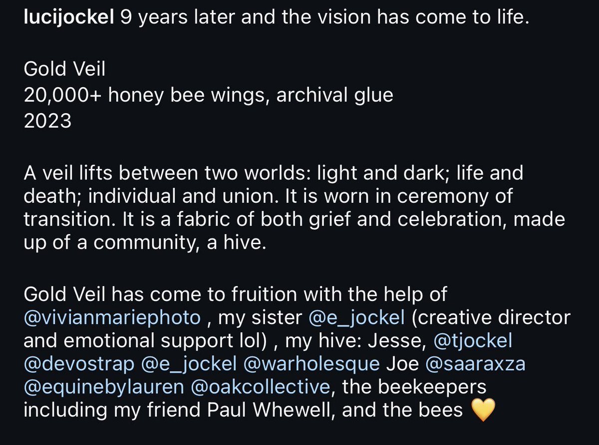 wings sourced from beekeepers dealing with the loss of their hives due to extreme weather, the pieces are made to memorialize the bees.