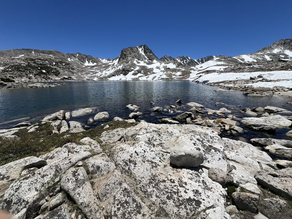 astrogerly's tweet photo. Visited a very special place in the Sierra today. It was nice to see all the snow still lingering! Flowers are blooming. Skeeters are annoying. I could have made some turns… #optoutside #highsierra #rangeoflight #momentskis #inyonationalforest https://t.co/ArdJ6OzLWU