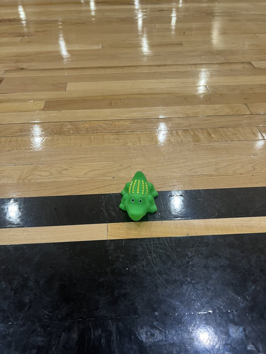 Tymeaco Christopher, M.Ed. (@tymeacoc) on Twitter photo Mr. Edu-Gator has court side seats tonight! Hope my <a href="/OLE_Leopards/">Leonard Elementary</a> families are enjoying their summer! Mr. Edu-Gator has court side seats tonight! Hope my <a href="/OLE_Leopards/">Leonard Elementary</a> families are enjoying their summer!