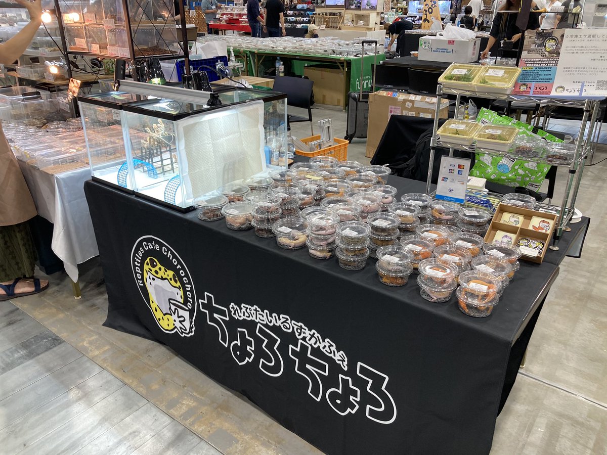 九州爬虫類フェス2日目✨✨始まりましたね(((o(*ﾟ▽ﾟ*)o)))
ちょろちょろは50番ブースにいます🫶
2日目も宜しくお願いしますっ(*`･ω･)ゞ

本日店舗休業しております🙇‍♂️
 #九レプ  #九州爬虫類フェス
