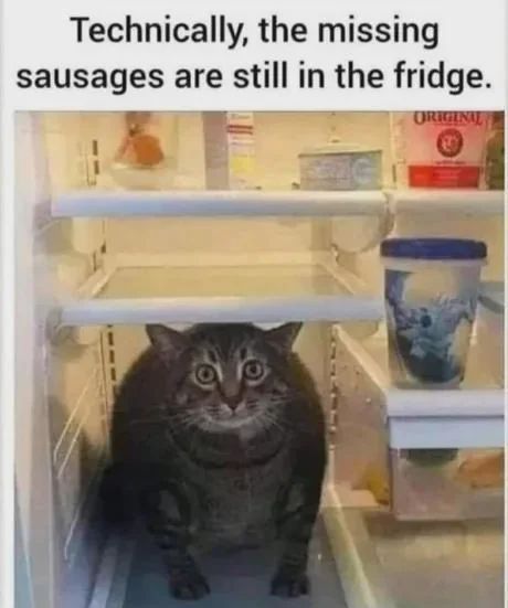 WholesomeMeme's tweet photo. https://t.co/2RDe0pWRR9