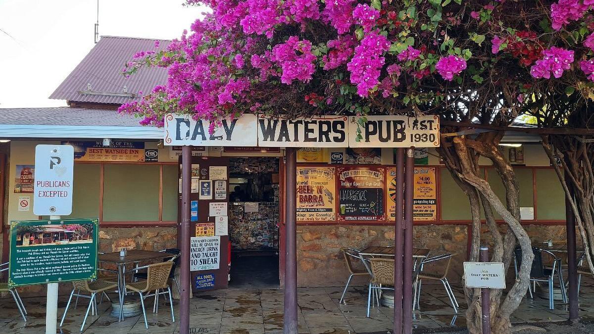 Tracking Australian Painted-snipe tweet media