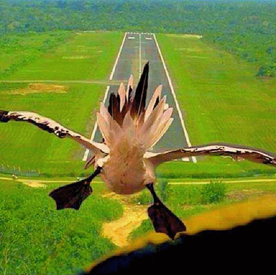 BirdBrayn's tweet photo. Never let success go to your head or failure go to your heart! #wisdom #startups #writers https://t.co/nE9LDPo6FS