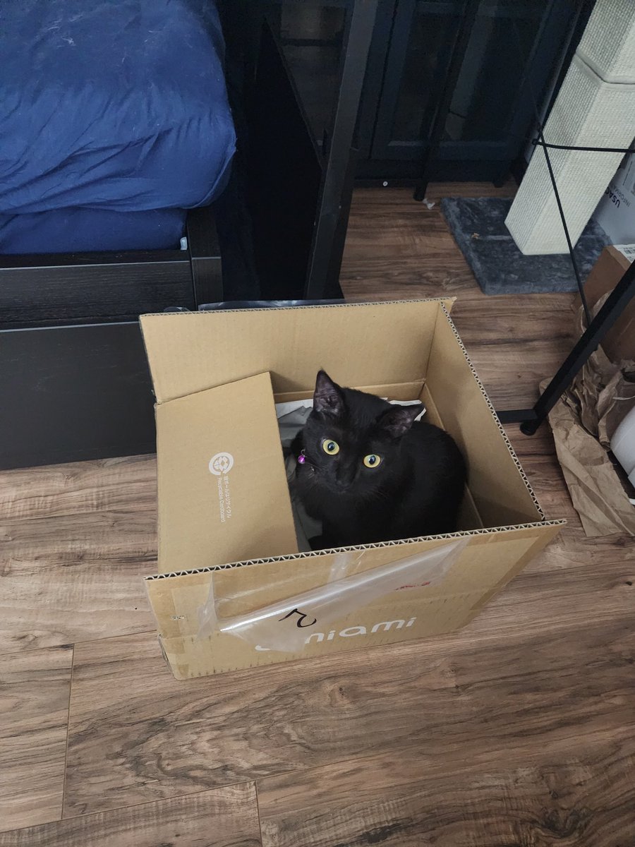 EricLumaire's tweet photo. @OurLadyKate Yours too? This is why I don't feel as guilty when I buy things for me bc it's not just for me, you see 🥰 https://t.co/mM4C6UIwKu