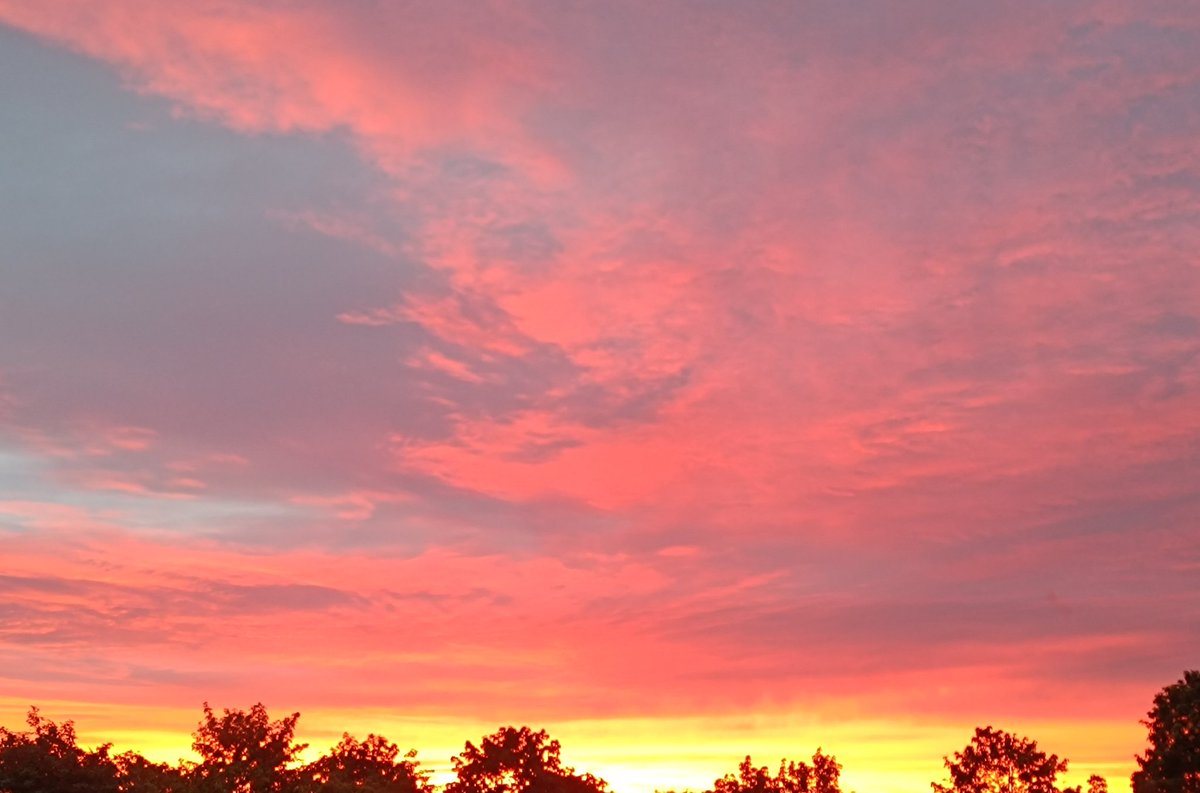 KittyArtist05's tweet photo. Sunrise https://t.co/m6ul51WgTV