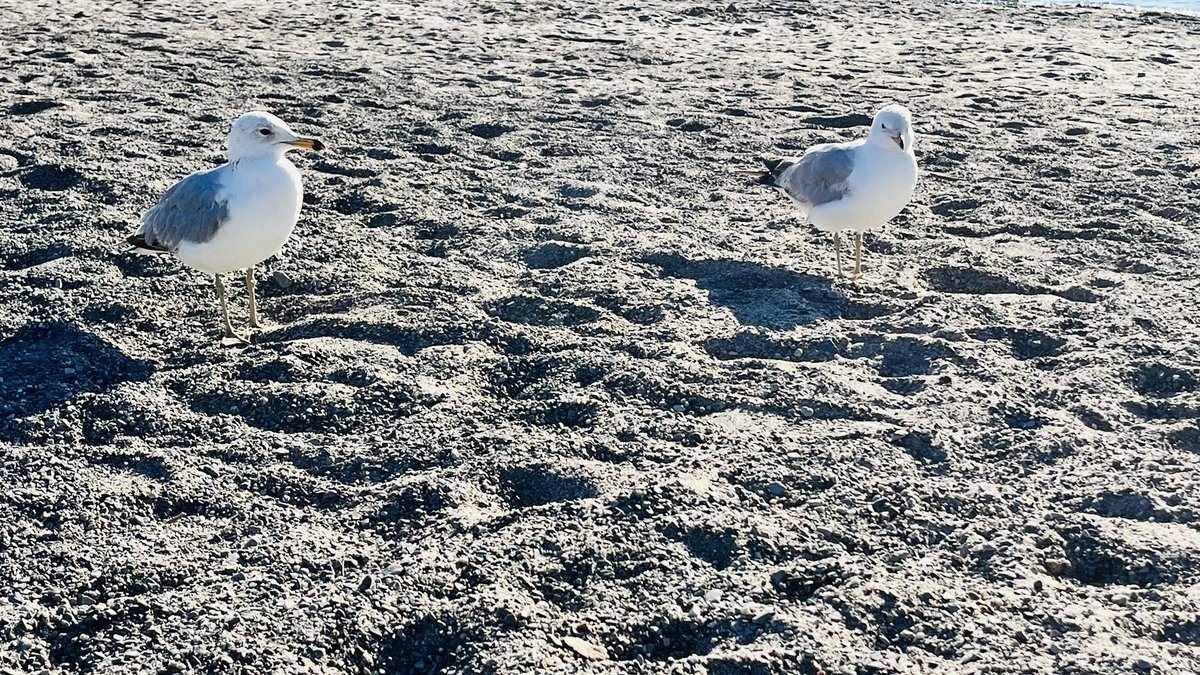 AAKASH (@get2aakash) on Twitter photo 