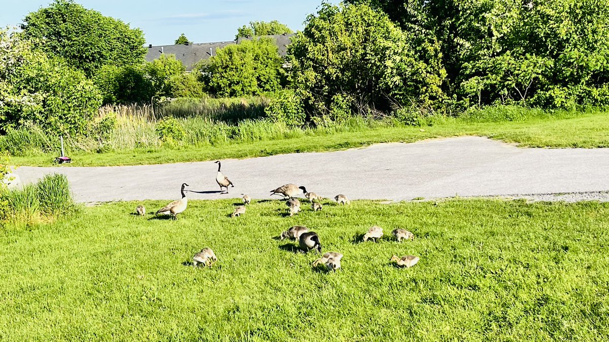 AAKASH (@get2aakash) on Twitter photo 