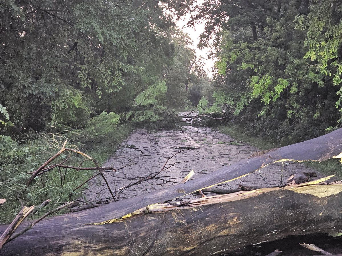 jwitkowskiwx's tweet photo. Significant damage on Oakley road just south of Janesville power lines and large trees down trees on houses. #wiwx @NWSMilwaukee https://t.co/HgXA6R0P7F