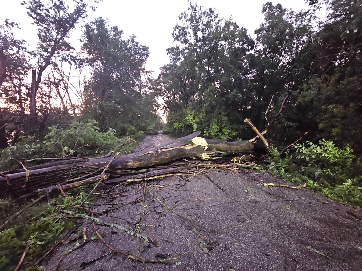 jwitkowskiwx's tweet photo. Significant damage on Oakley road just south of Janesville power lines and large trees down trees on houses. #wiwx @NWSMilwaukee https://t.co/HgXA6R0P7F