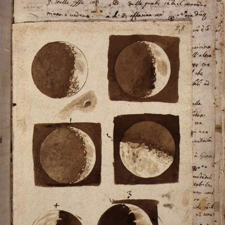 Nesie 𐙚 花城 ᴬᴿᴵᴿᴬᴺᴳ tweet media