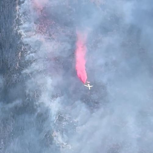 ODF Southwest tweet media