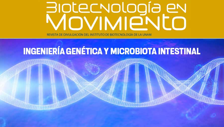 ¡Descubre el poder de la microbiota! La ingeniería de las comunidades microbianas puede revolucionar la salud humana y animal. 🔬 Lee más en la revista del <a href="/ibt_unam/">Instituto de Biotecnología UNAM</a> > bit.ly/3Pbc0hx