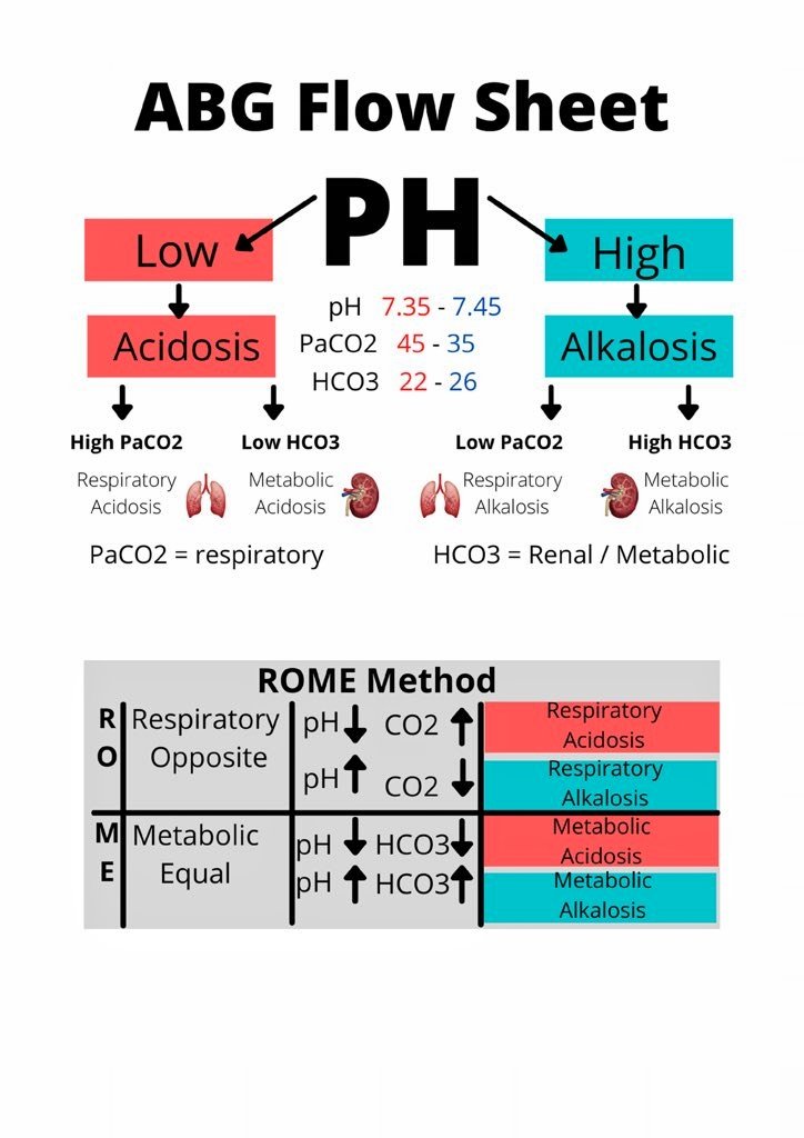 Gazal6849's tweet image. 🍁ABG Flow Sheet🍁

#medx
#medEd
Image courtesy:Medizzy