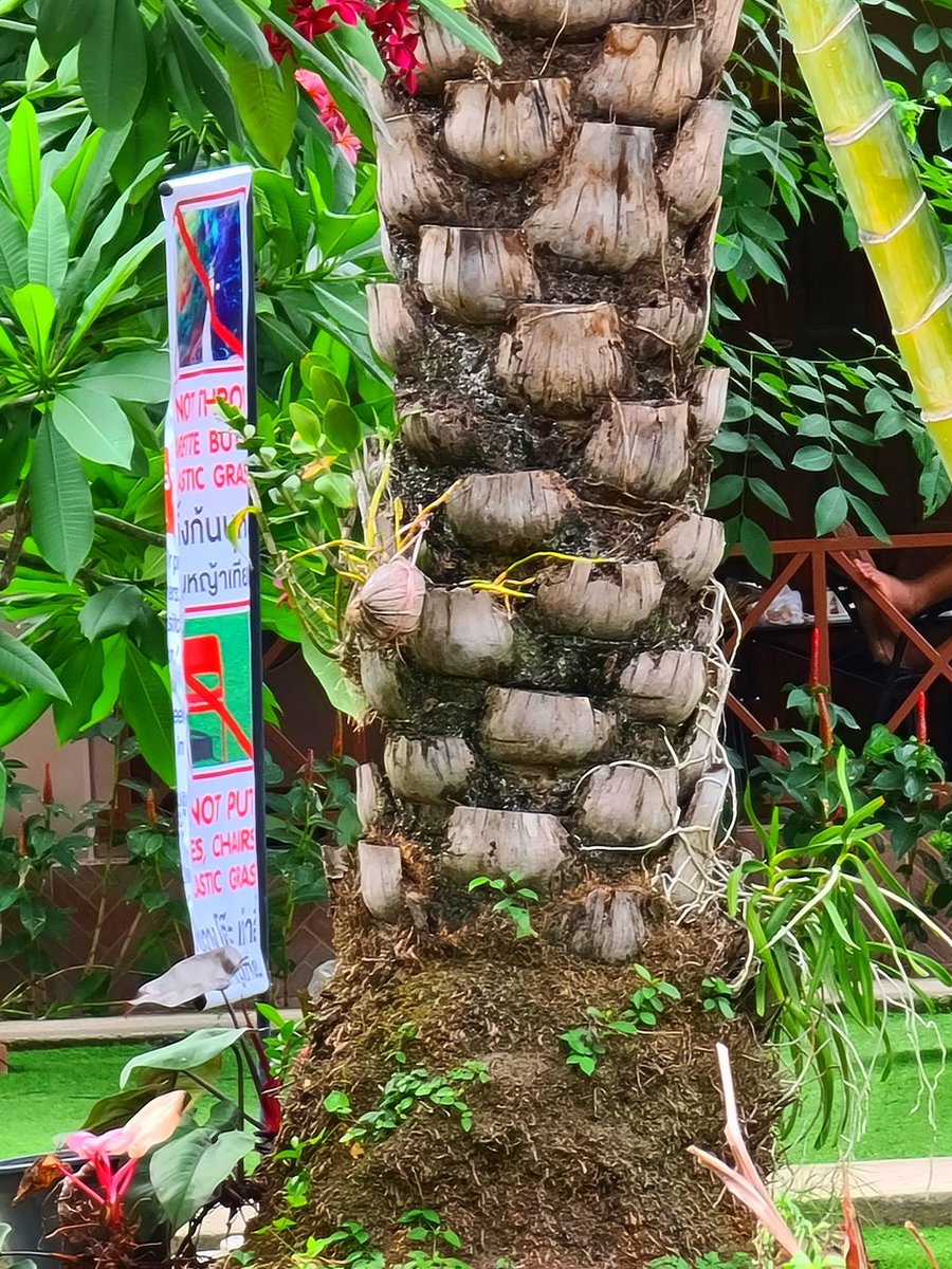 Home sweet home  ..for now😀