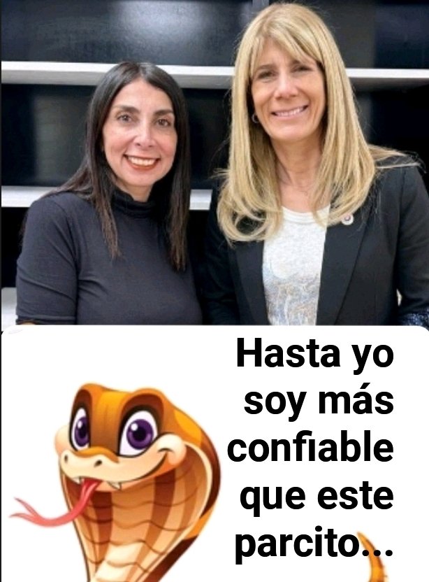 🇨🇱🚫Traidores, NO!! tweet media