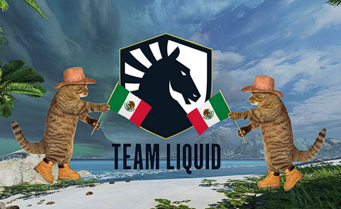 Team Liquid tweet media