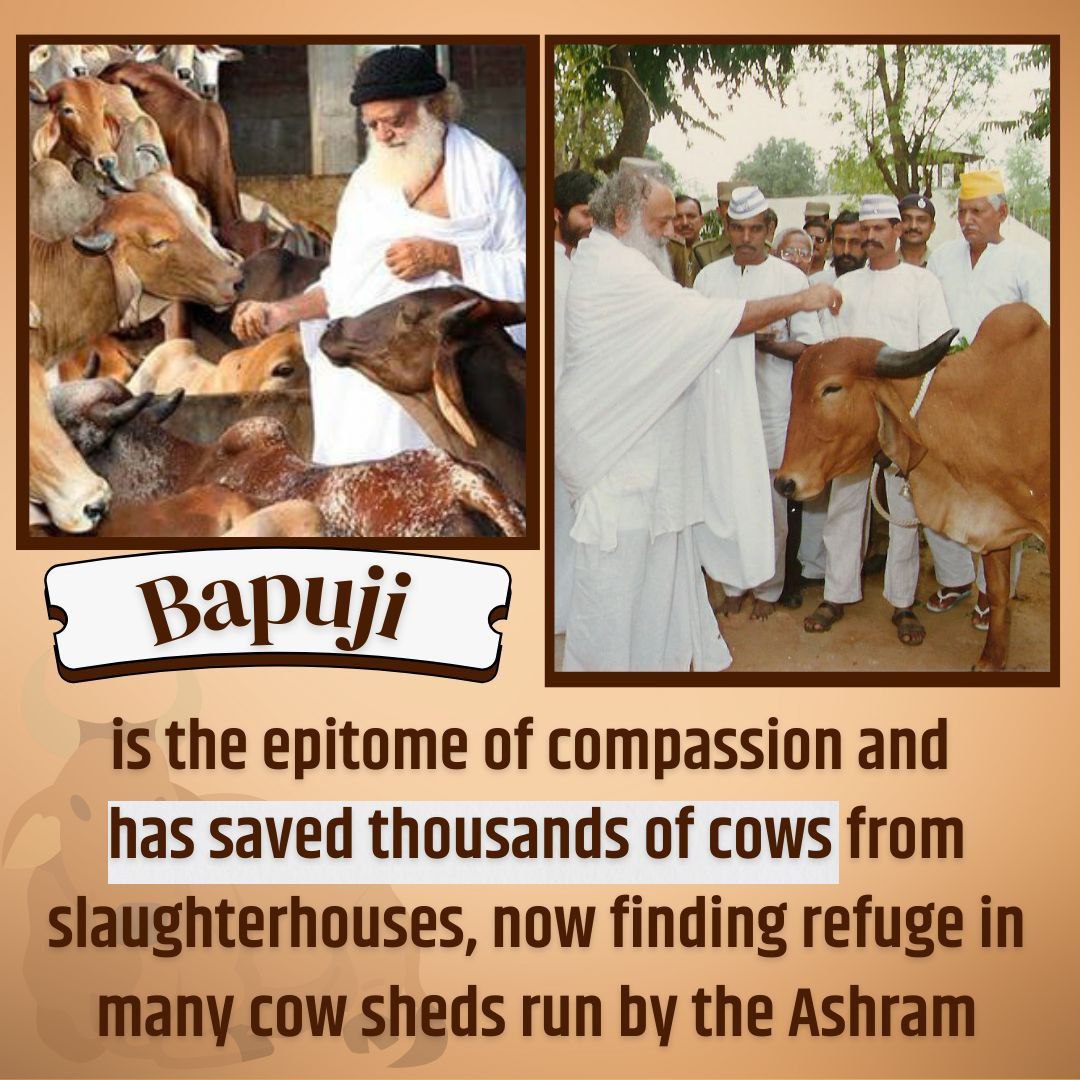 Sant Shri Asharamji Bapu believes in Sabka Mangal Sabka Bhala
#LifeSketchOfAYogi is inspires millions for SelflessSewaActivities

With His inspiration, many Gaushalas have been running across the country where Thousands of cows r being saved from being sent to slaughter houses