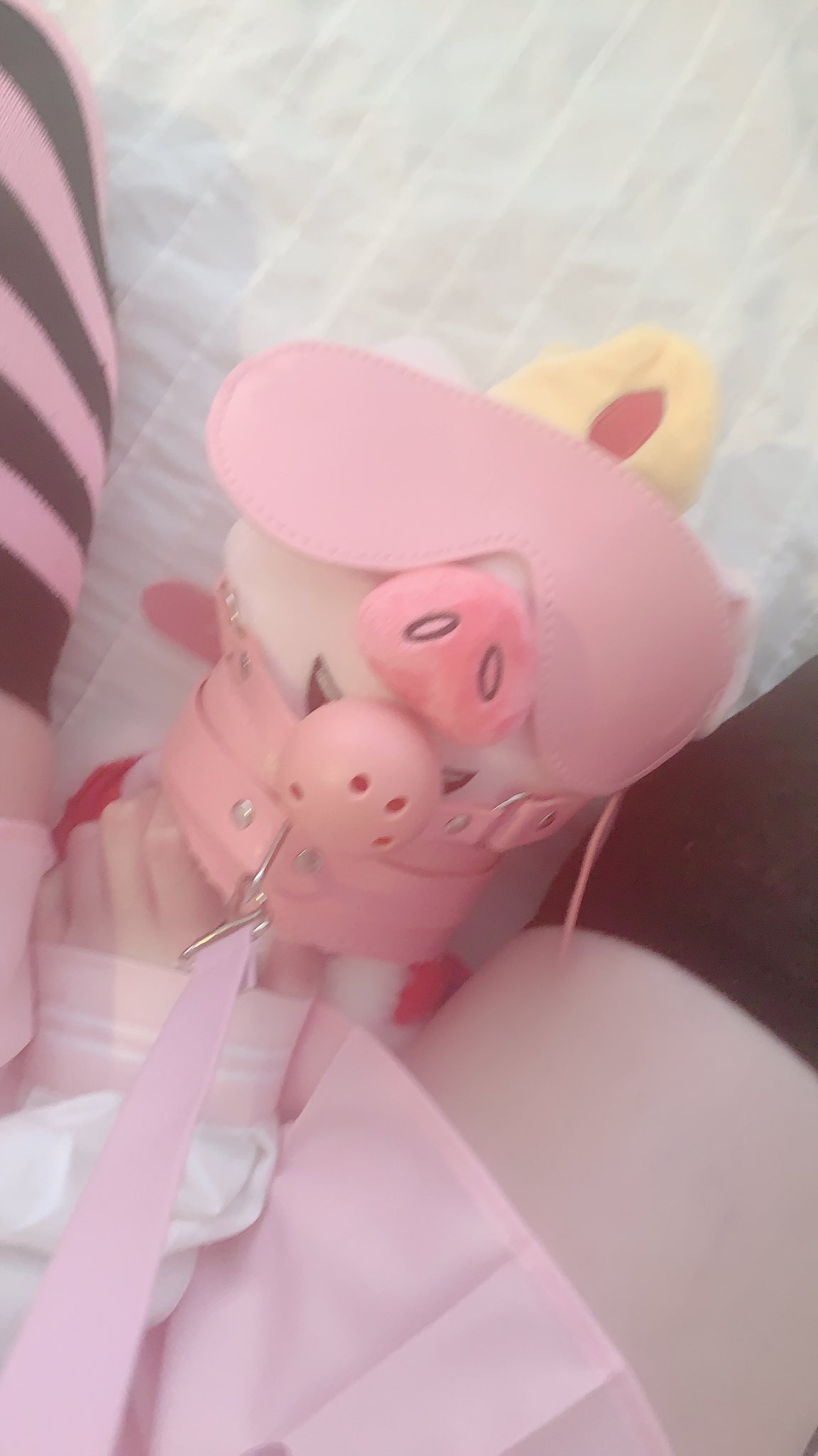 Meowbah on X: i miss u technoblade >:( t.cov46hiDU5UU  X