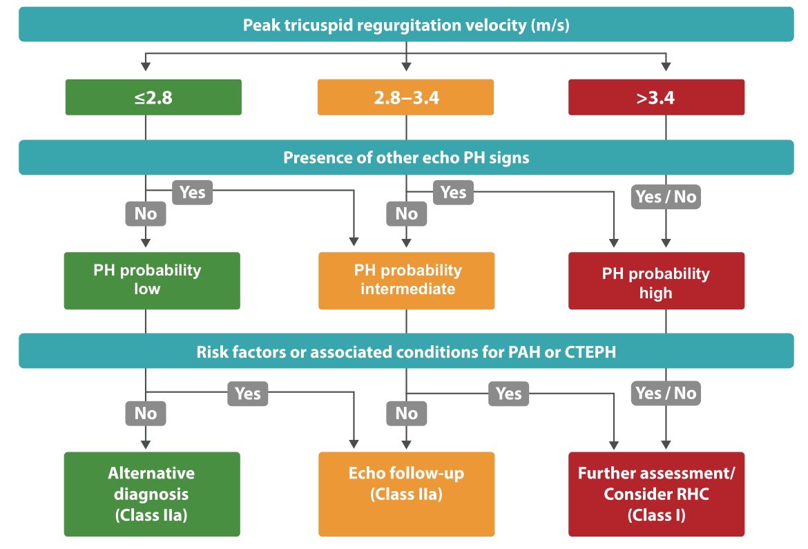 📌El enfoque diagnóstico de la hipertensión pulmonar 🫁

•Su presentación no es específica
•La estrategia es compleja y requiere métodos invasivos
•La inteligencia artificial, podría detectar las “huellas dactilares” de HTP &amp; HAP en complejos QRST mucho antes de que el cate
