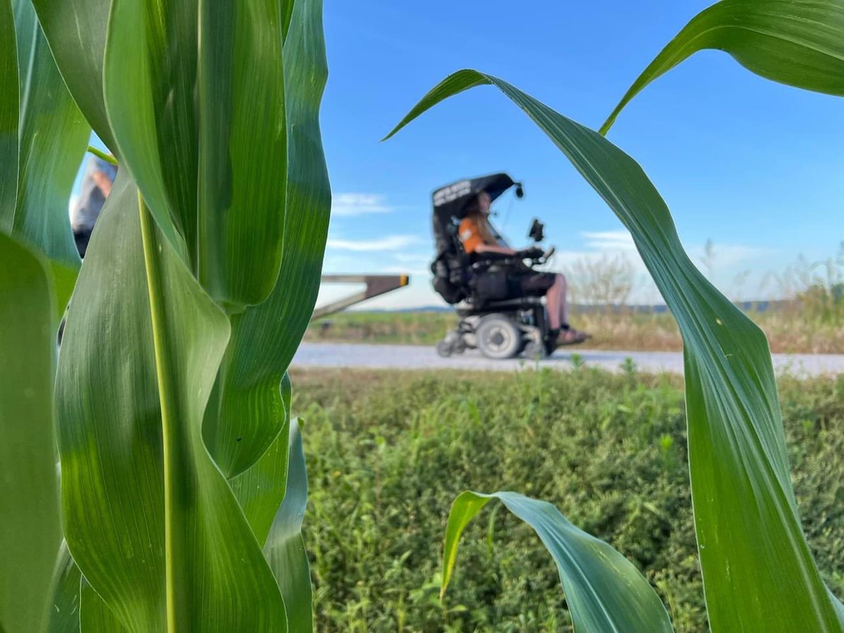 Ian Mackay tweet media