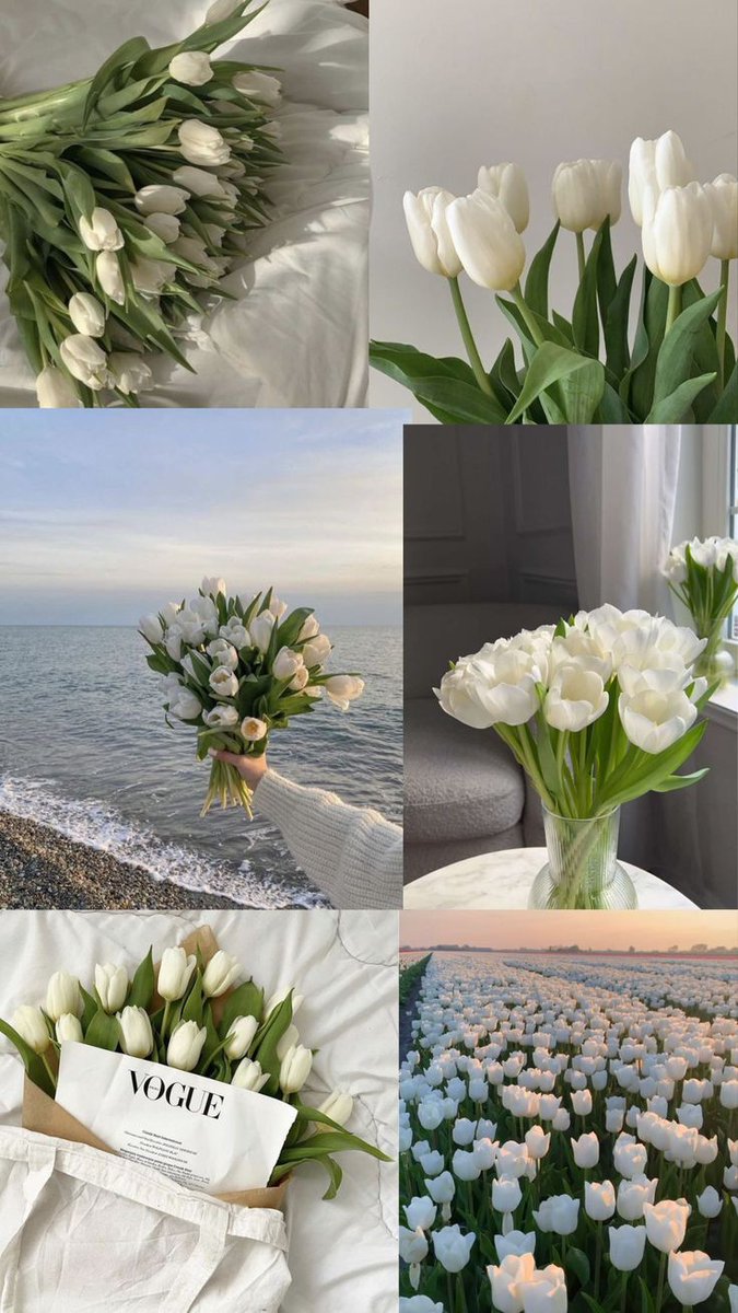white tulips