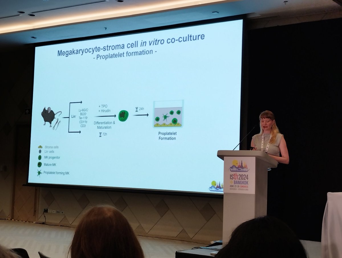 @DrosteMargret from @LabSchulze is talking about CAR cells and #platelet production in OC18 #ISTH2024 #megakaryocyte
