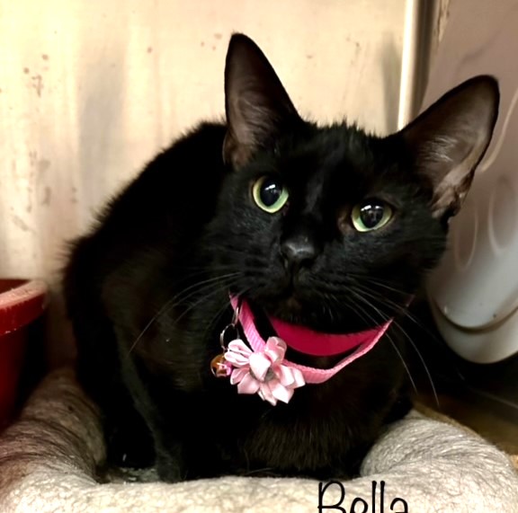 Renee' Martin tweet media